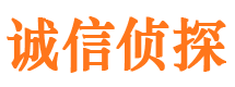 正定市侦探公司